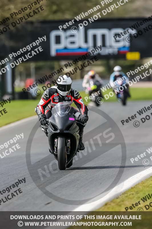 Oulton Park 21st March 2020;PJ Motorsport Photography 2020;anglesey;brands hatch;cadwell park;croft;donington park;enduro digital images;event digital images;eventdigitalimages;mallory;no limits;oulton park;peter wileman photography;racing digital images;silverstone;snetterton;trackday digital images;trackday photos;vmcc banbury run;welsh 2 day enduro